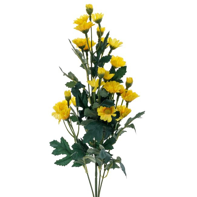 Fir floare margarete decorativ [2]
