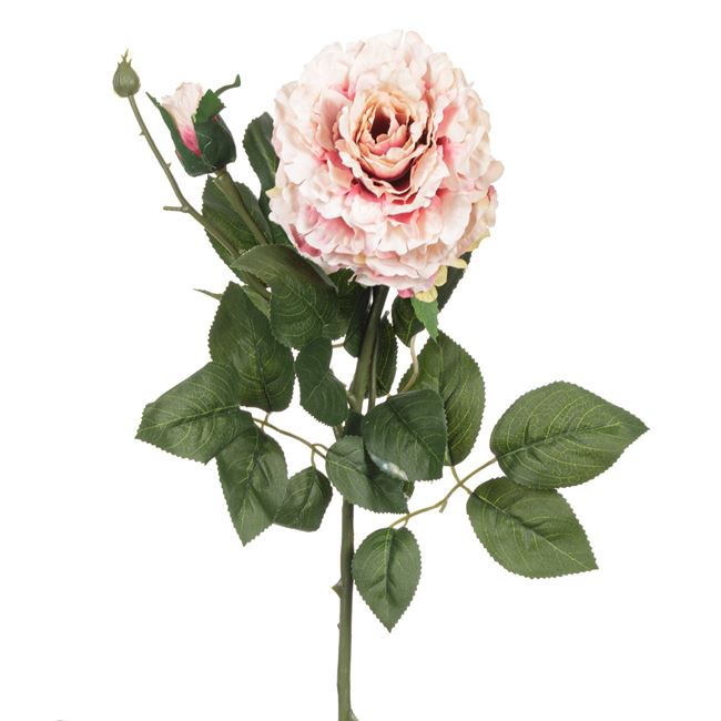 Fir floare trandafir decorativ [2]