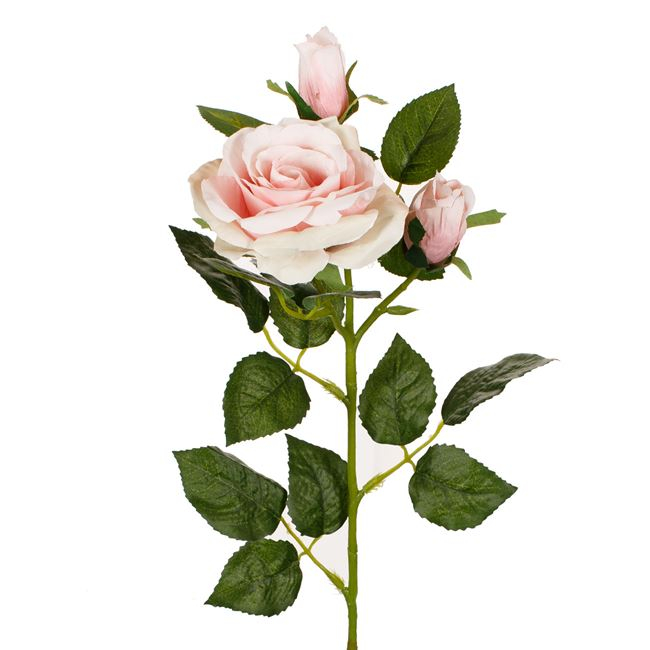 Fir floare trandafir decorativ [2]