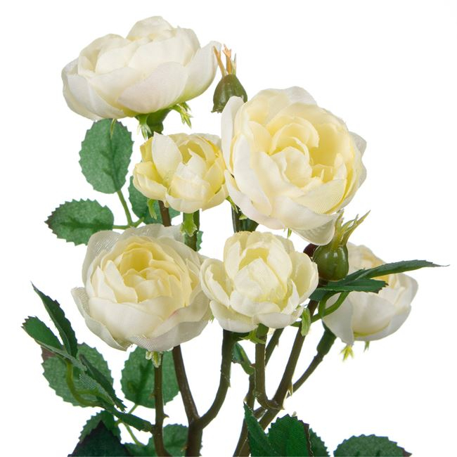 Fir floare trandafir decorativa [2]