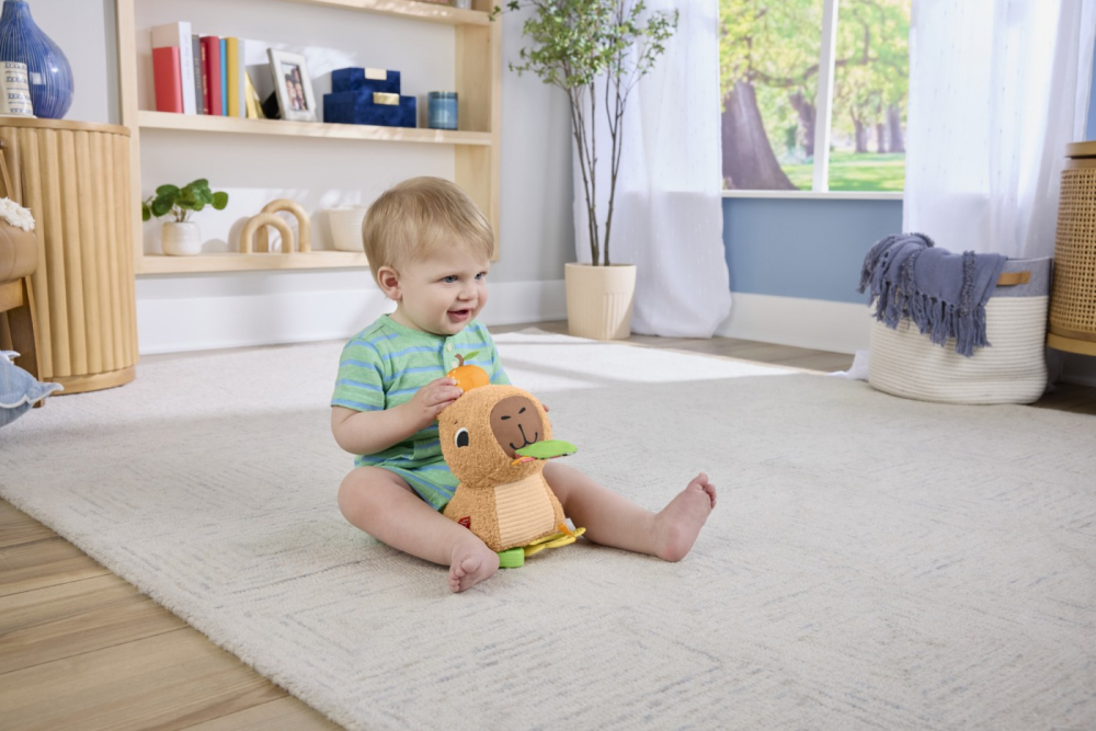 FISHER PRICE JUCARIE SENZORIALA CAPIBARA [4]