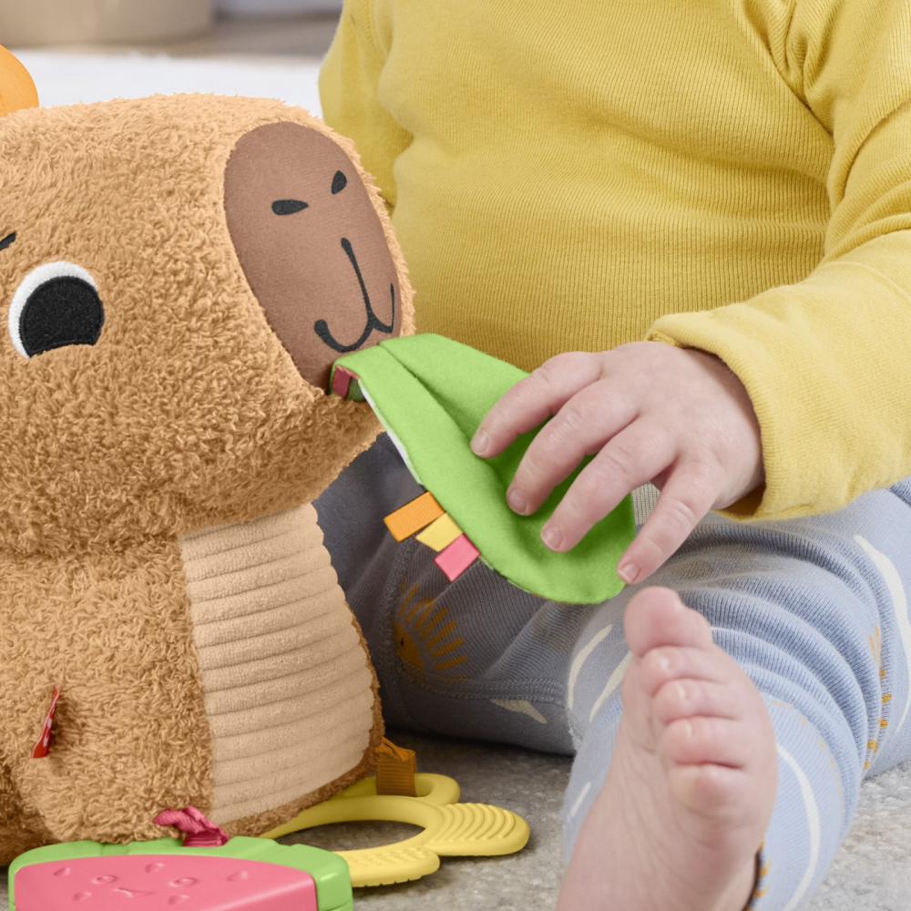 FISHER PRICE JUCARIE SENZORIALA CAPIBARA [7]