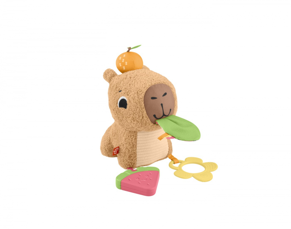 FISHER PRICE JUCARIE SENZORIALA CAPIBARA [10]
