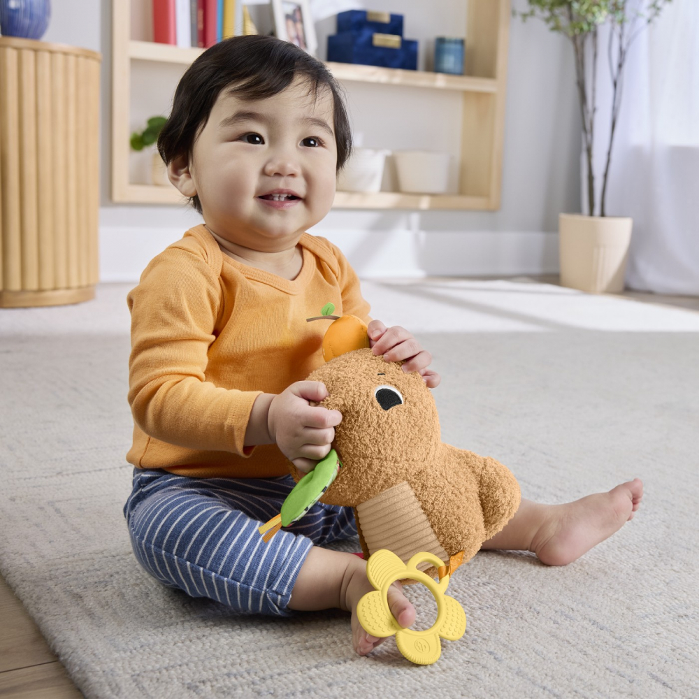 FISHER PRICE JUCARIE SENZORIALA CAPIBARA [8]
