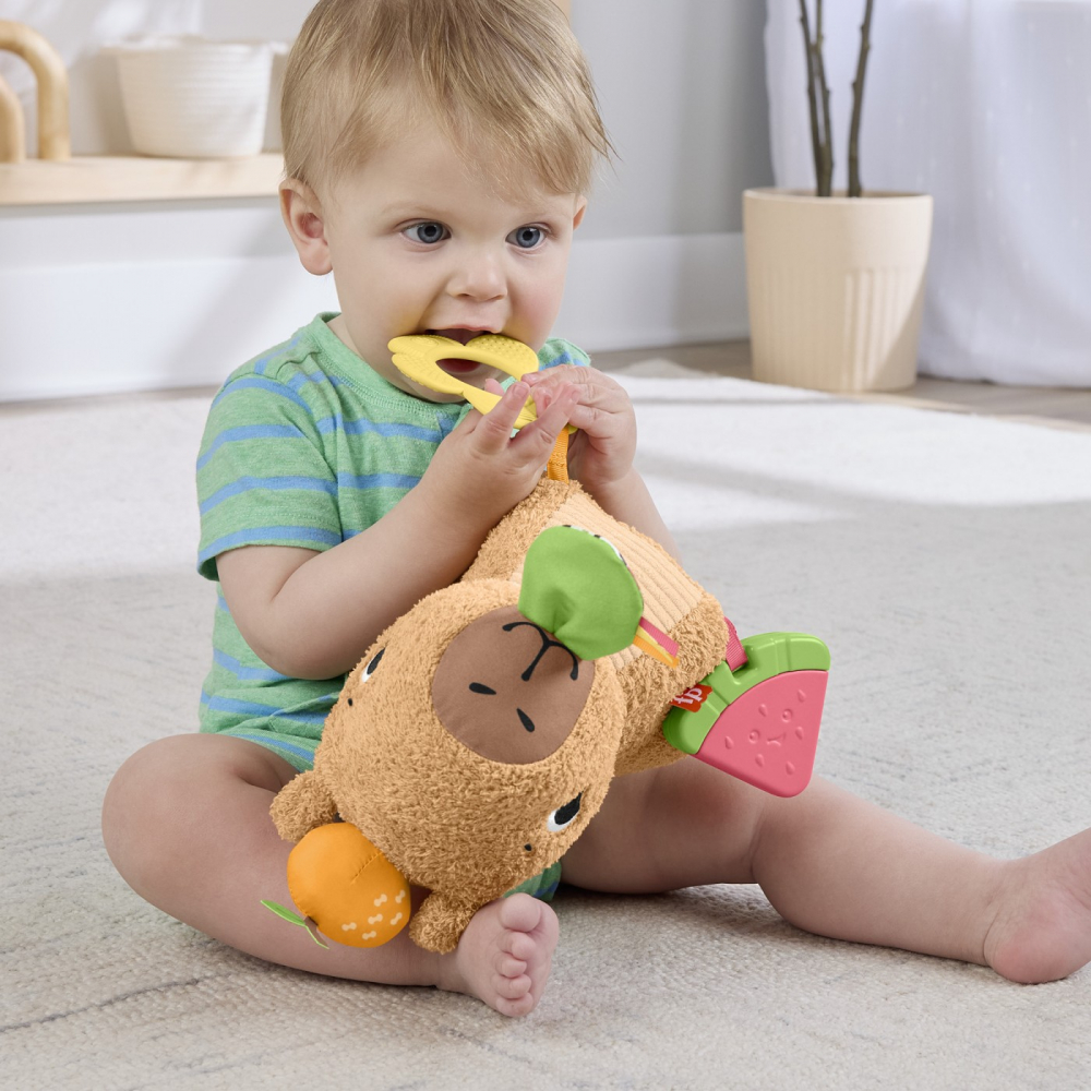 FISHER PRICE JUCARIE SENZORIALA CAPIBARA [9]