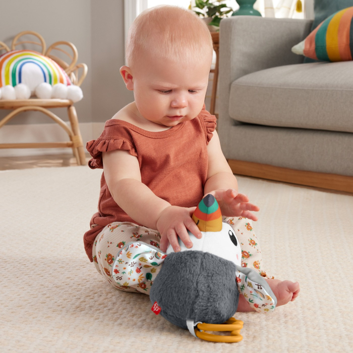 Fisher Price - Jucărie Tucan de Pluș  [2]