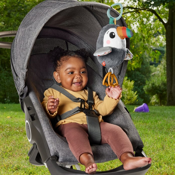 Fisher Price - Jucărie Tucan de Pluș  [4]