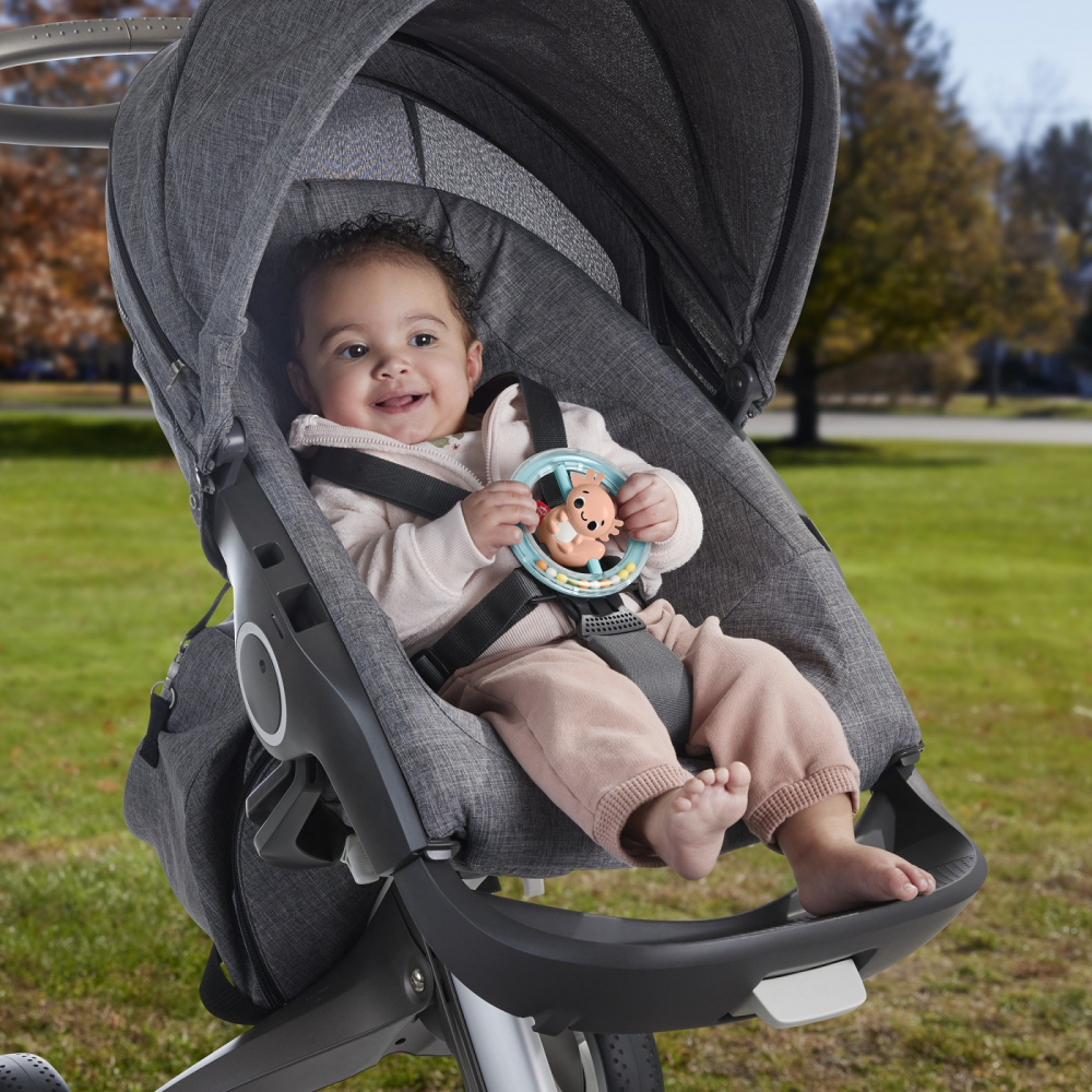 Fisher Price Jucarie Zornaitoare Salamandra [3]