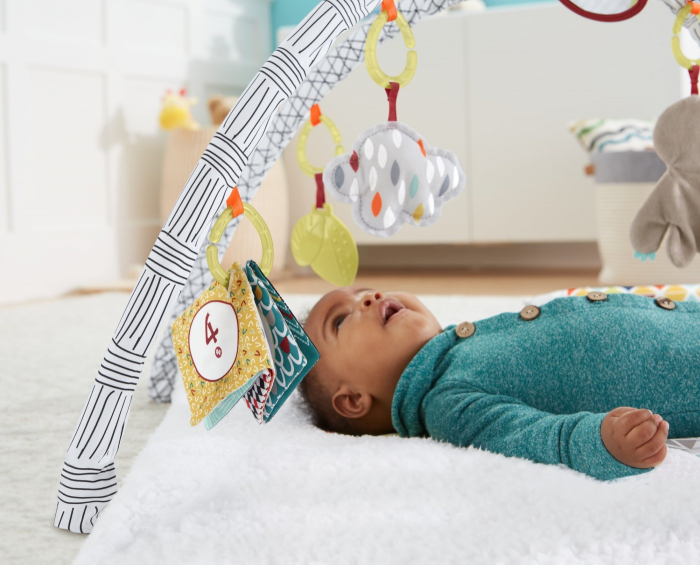 Fisher Price Saltea cu Activitati și Accesorii  [6]