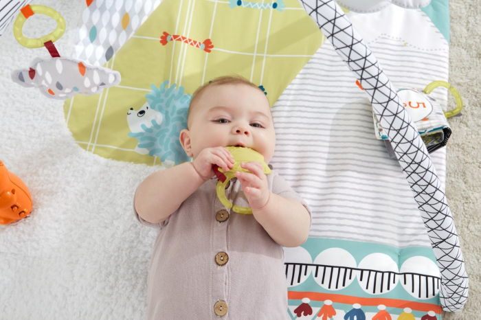 Fisher Price Saltea cu Activitati și Accesorii  [7]
