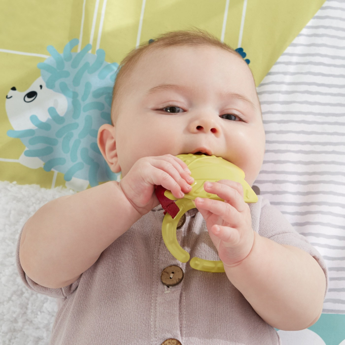Fisher Price Saltea cu Activitati și Accesorii  [5]