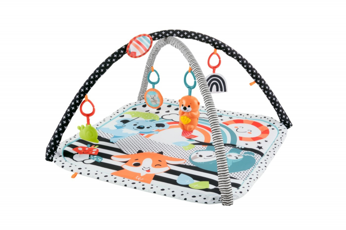 Fisher Price Saltea Muzicala 3 in 1 cu Centru de Activitati  [2]