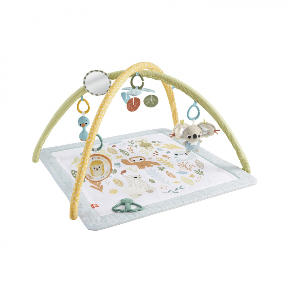 Fisher Price Salteluta De Activitati [3]