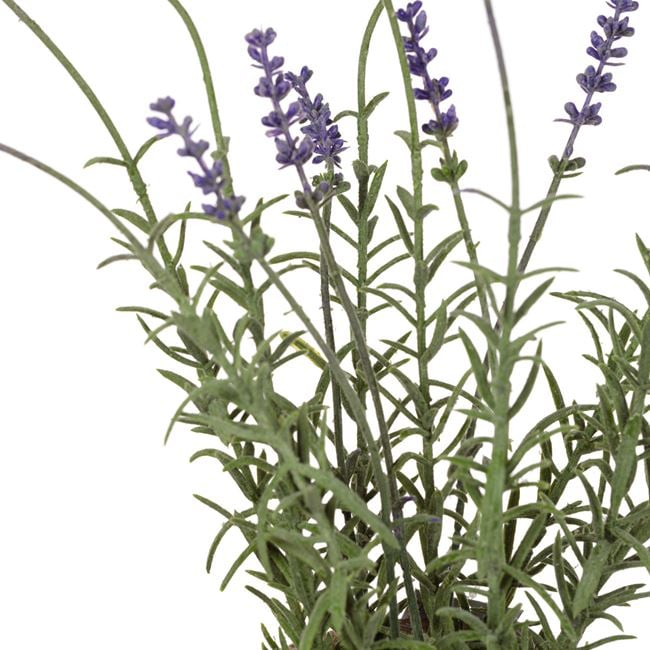 Flori de lavanda artificiale decorative in ghiveci ceramic [2]
