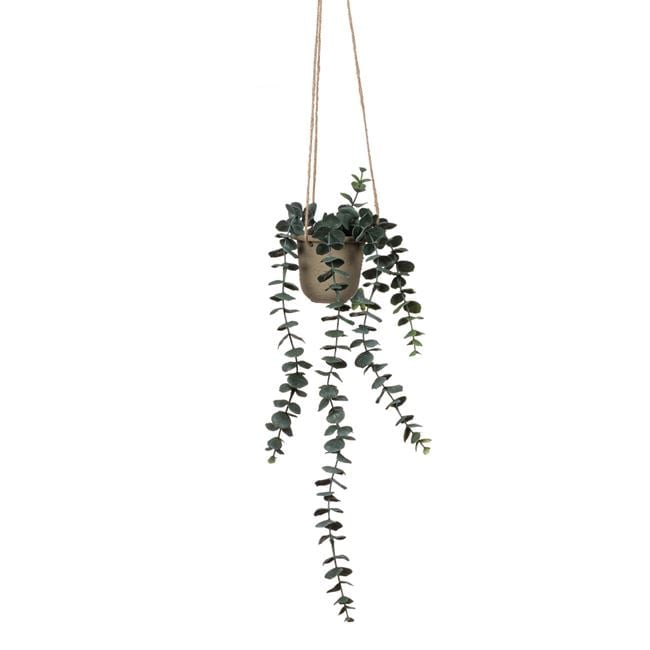 Oem Ghiveci de agatat cu funie si frunze de eucalipt,plastic,48 cm