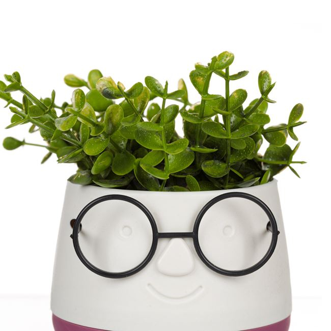 Ghiveci fata zambitoare cu planta artificiala [3]