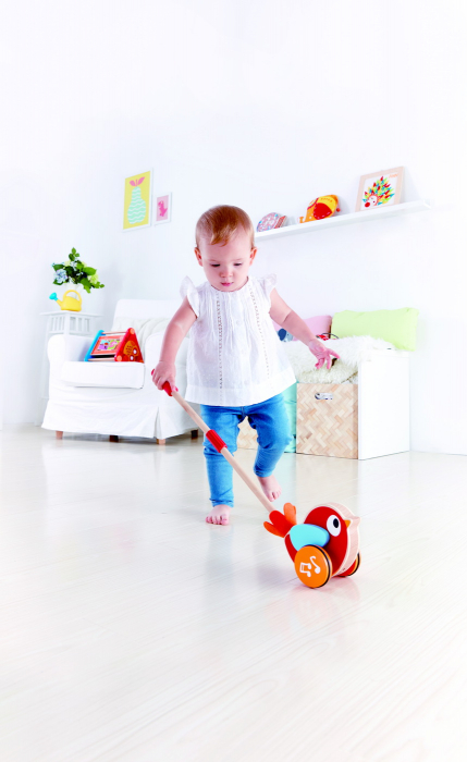 Hape Lilly Musical - Împinge și Mergi!  [6]