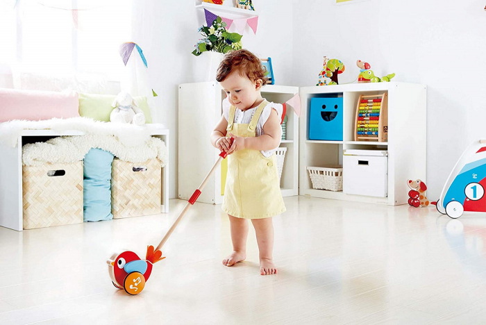 Hape Lilly Musical - Împinge și Mergi!  [3]