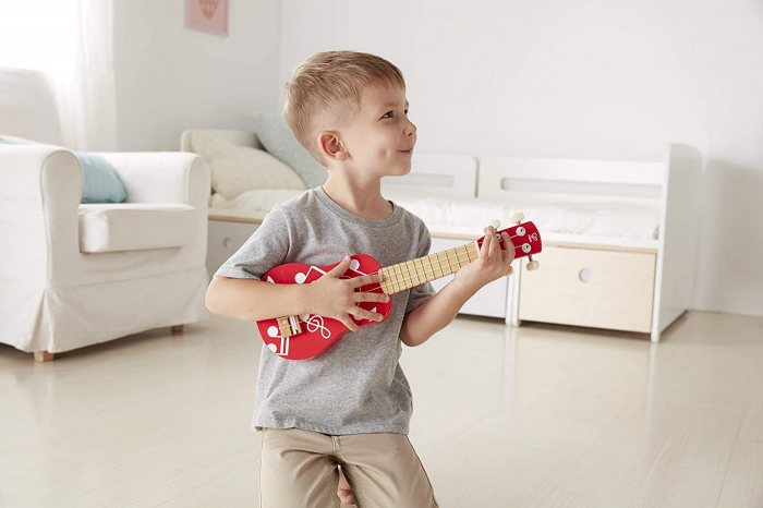 Hape Set Mini Formație  [4]