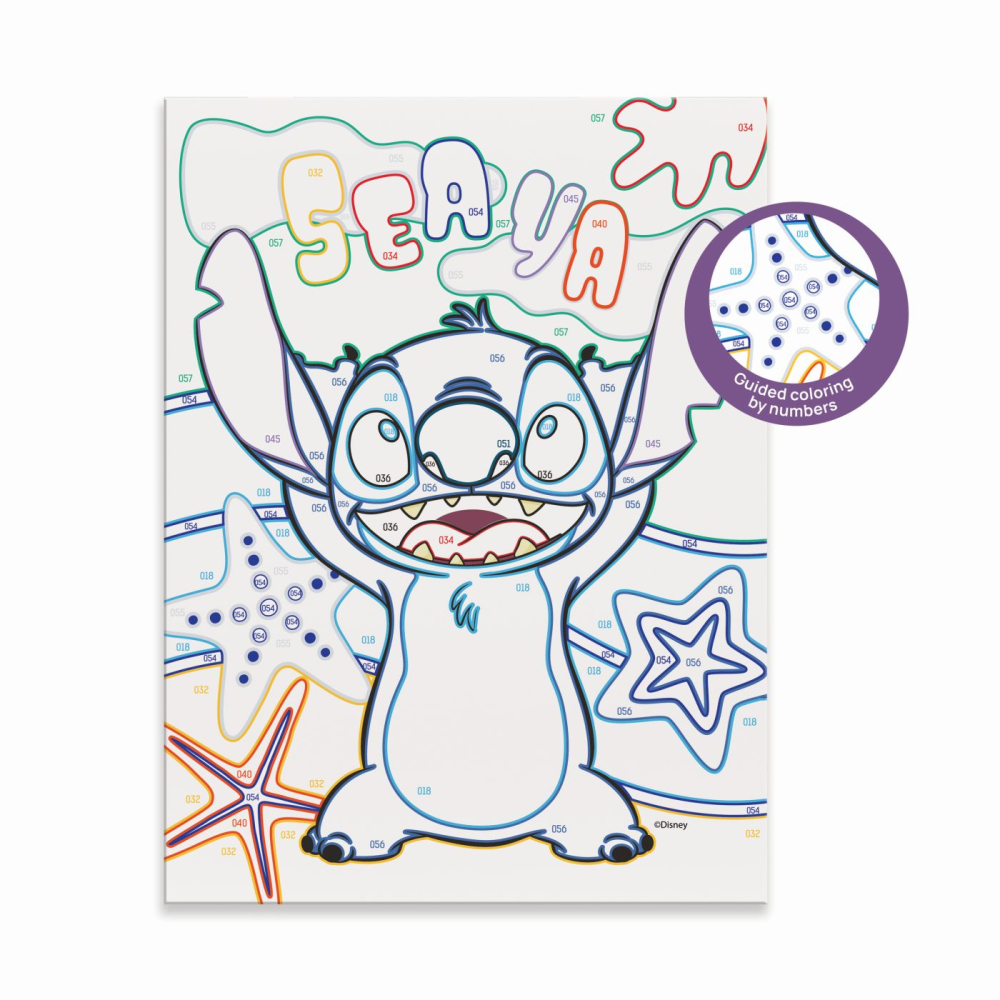 HAPPI HOBBI PICTURA PE NUMERE STITCH [5]
