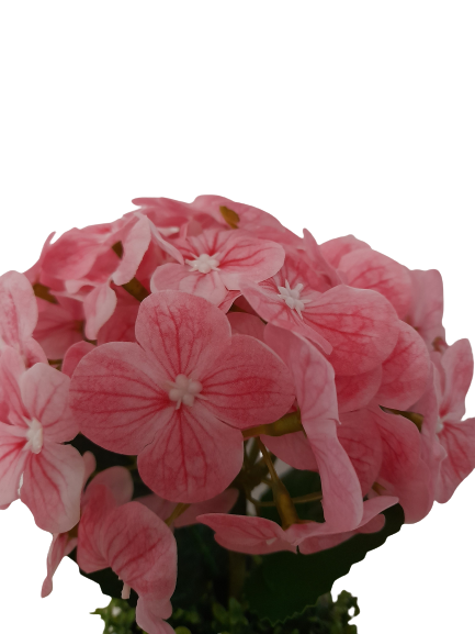 Hortensie artificiala decorativa in ghiveci ceramic [2]