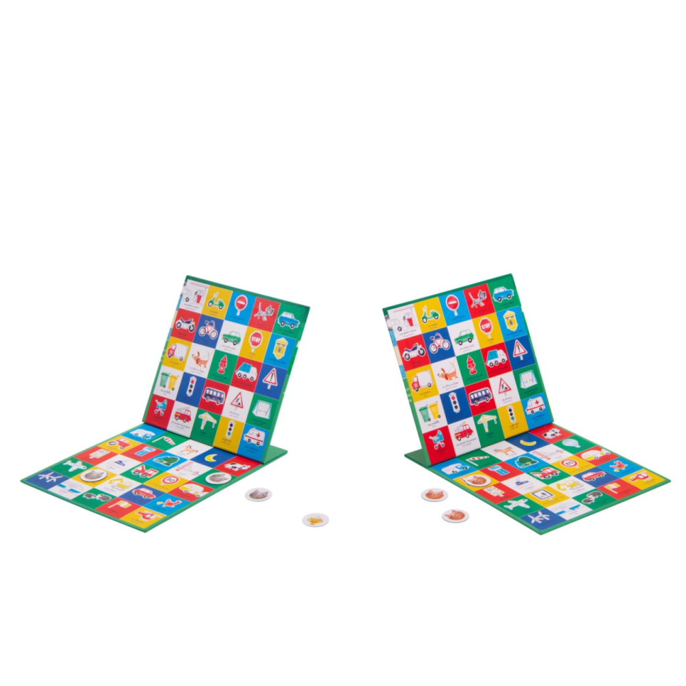 Joc magnetic de observatie, Moulin Roty [2]