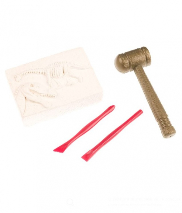 Kit creativ paleontologic-Descopera Dinozaurul [2]
