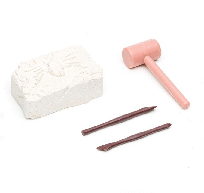 Kit creativ paleontologic-Descopera Insecta [2]