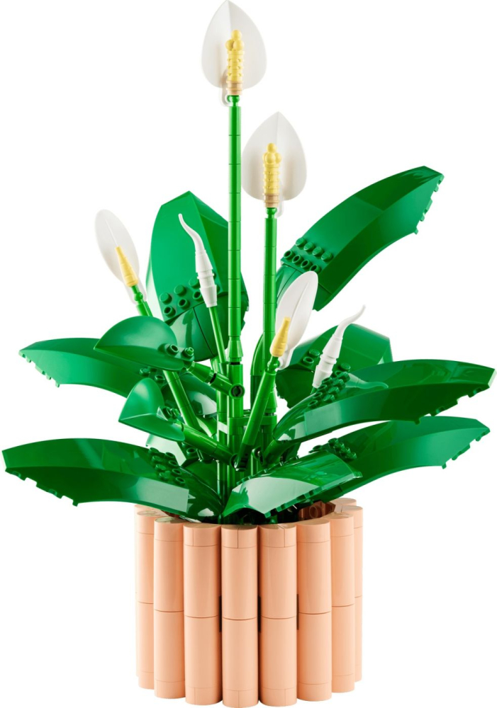 LEGO BOTANICALS CRINUL PACII 11504 [3]