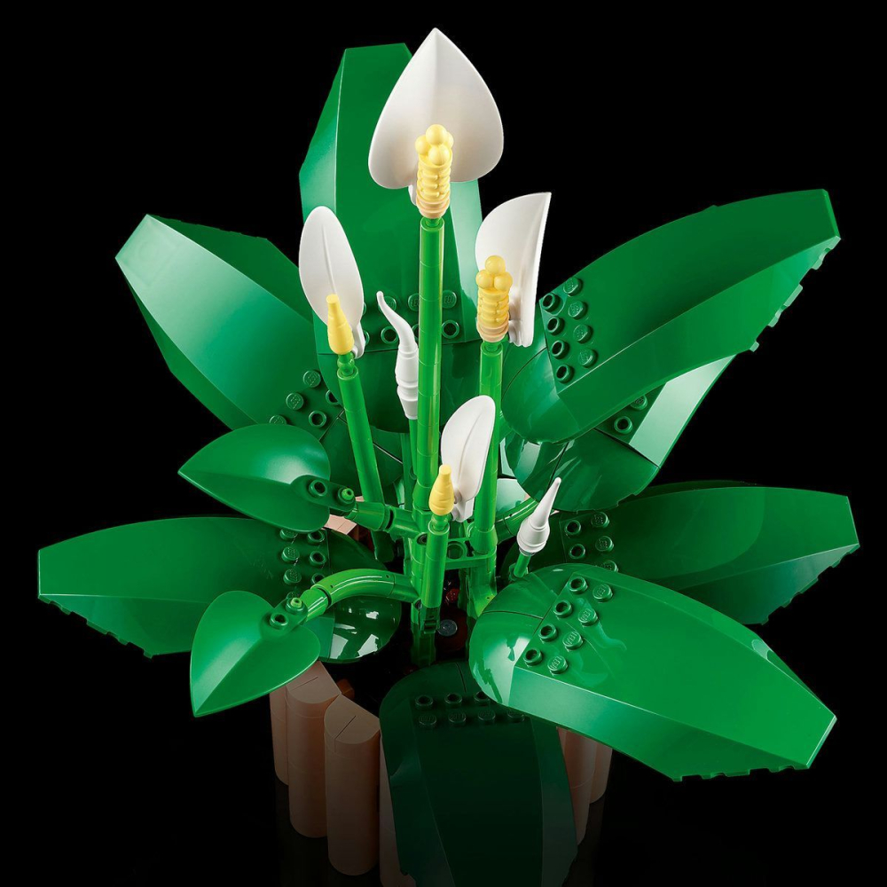 LEGO BOTANICALS CRINUL PACII 11504 [7]