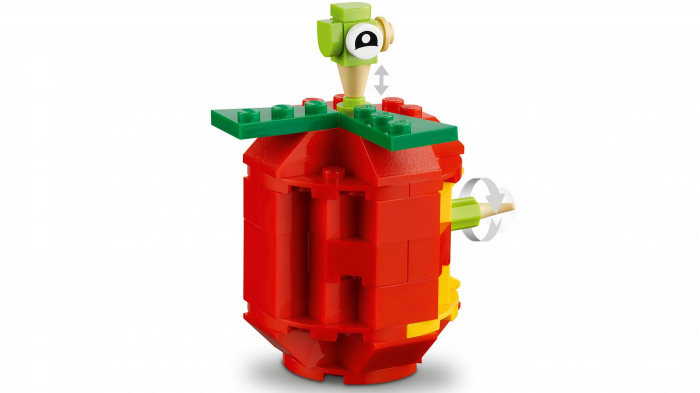 LEGO Classic Cărămizi și Funcții 11019  [6]