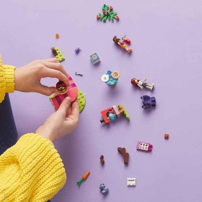 LEGO FRIENDS CLATITARIE 41753 [4]
