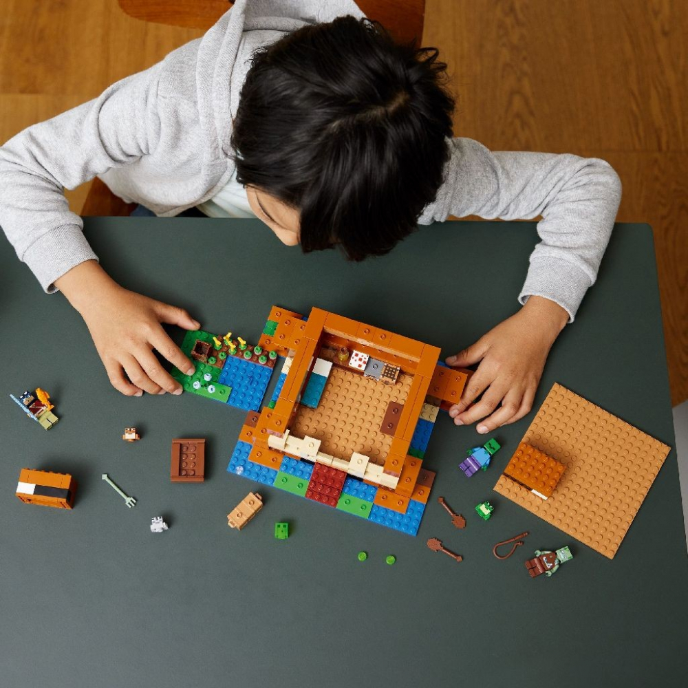 LEGO MINECRAFT CASA BROASCA 21256 [4]