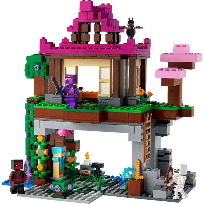 LEGO Minecraft Terenul de Antrenament 21183  [2]