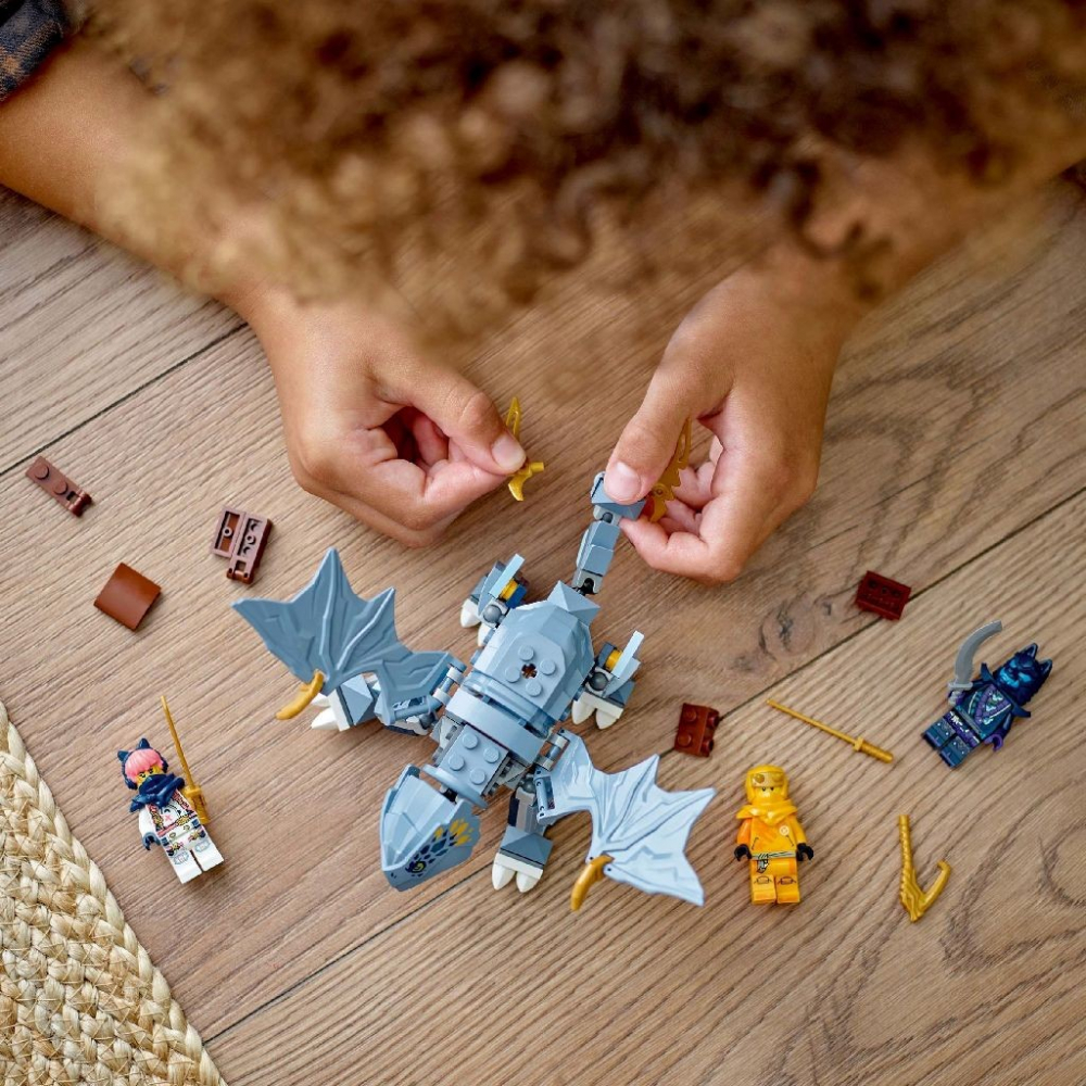Lego Ninjago Tanarul Dragon Riyu 71810 [4]