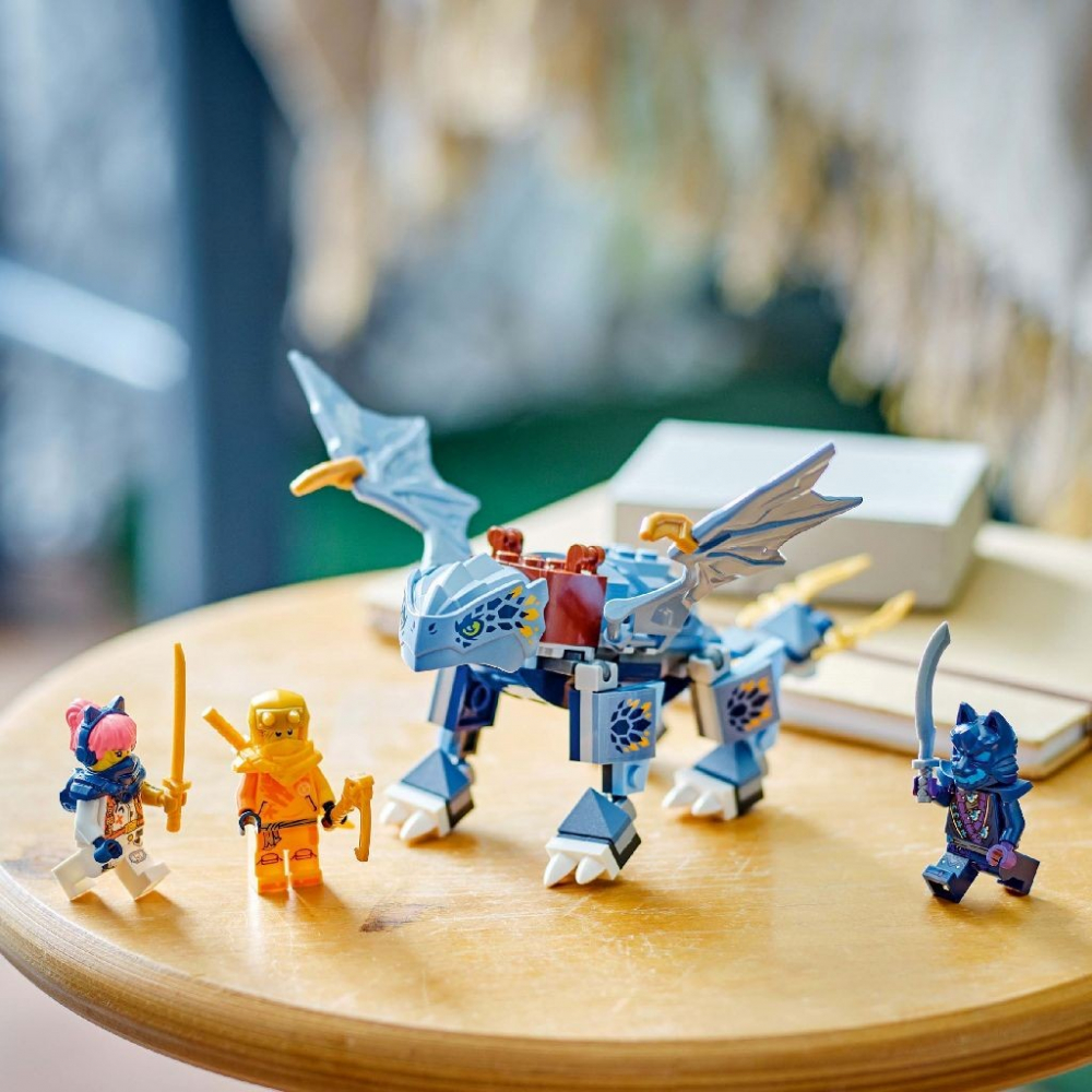 Lego Ninjago Tanarul Dragon Riyu 71810 [5]