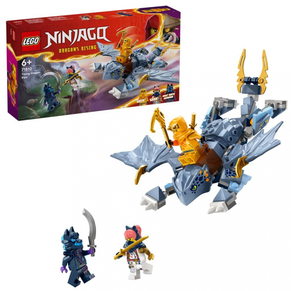 Lego Ninjago Tanarul Dragon Riyu 71810 [6]