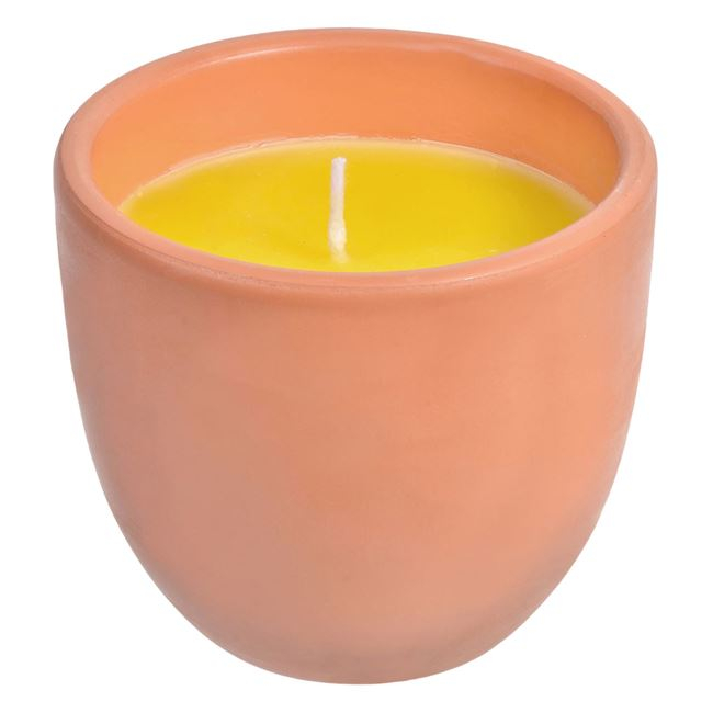 Lumanare citronella anti tantari in pahar de ceramica,410 g