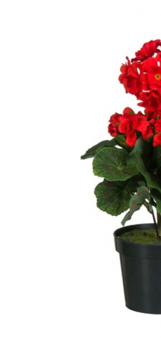 Muscata artificiala decorativa in ghiveci pentru interior [5]