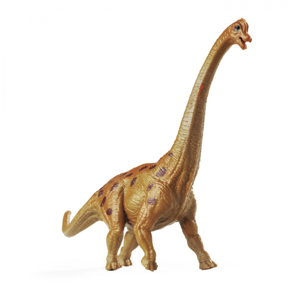 NATURE WORLD DINO SET 6 DINOZAURI IN CUTIE PIRAMIDA [10]