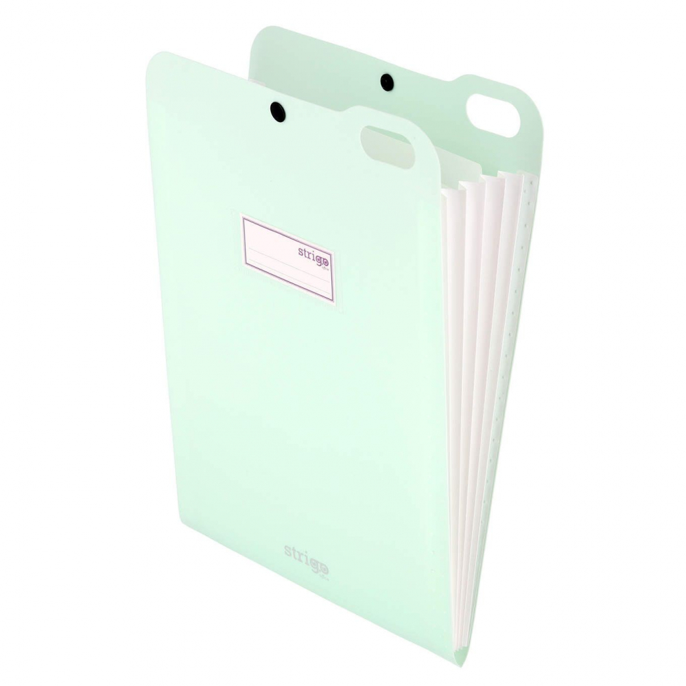 Organizator documente vertical Strigo, format A4, PP, 5 separatoare, capsă, culoare mentă [4]