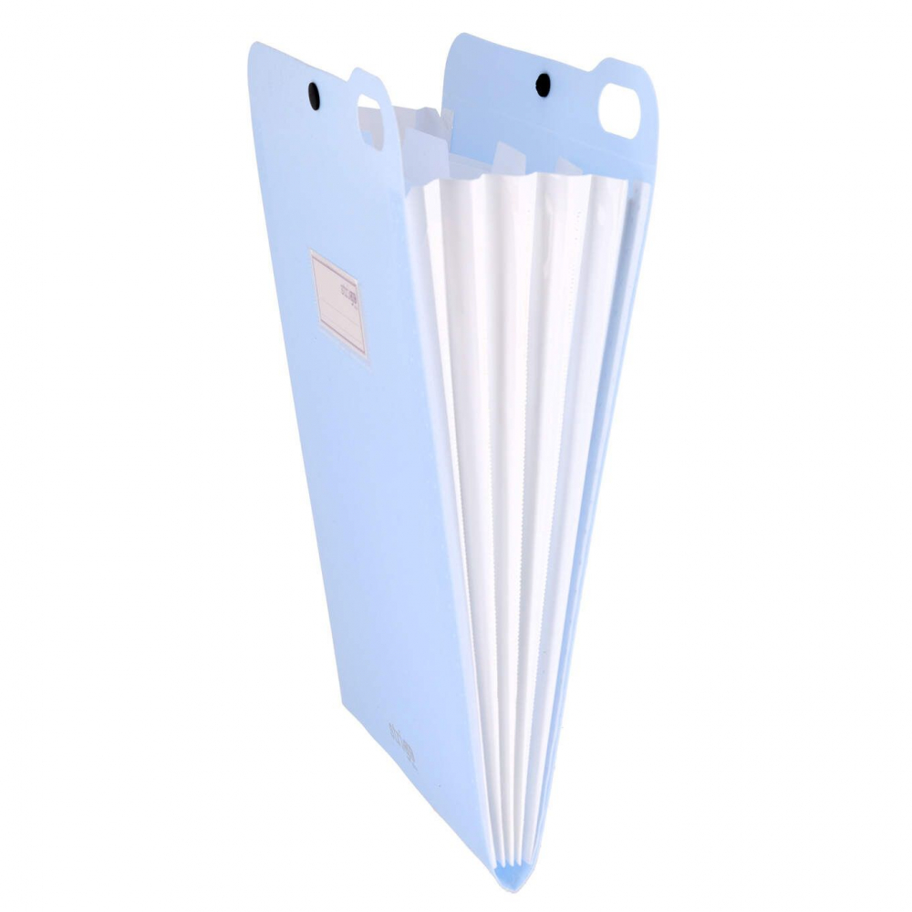 Organizator Strigo vertical A4 cu 5 separatoare, capsa ,   albastru