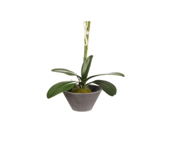 Orhidee artificiala cu 2 tije in ghiveci [3]