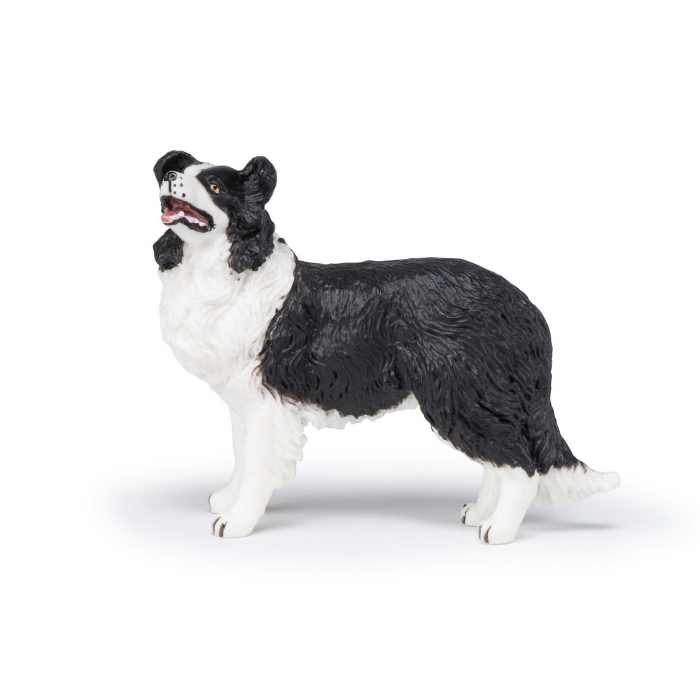 PAPO - Figurina Câtel Border Collie  [2]