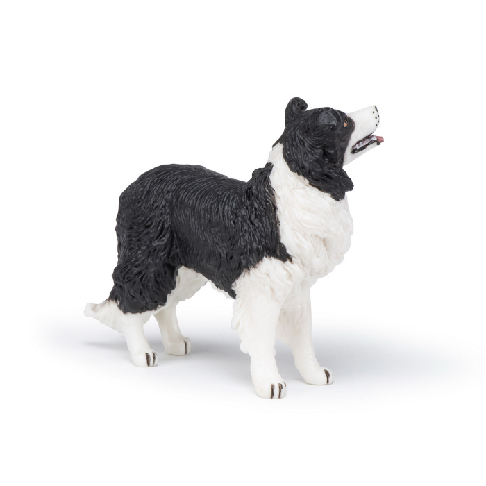 PAPO - Figurina Câtel Border Collie  [5]