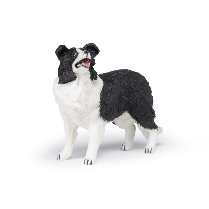 PAPO - Figurina Câtel Border Collie  [3]