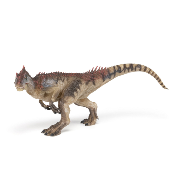 PAPO - Figurina Dinozaur Allosaurus  [3]
