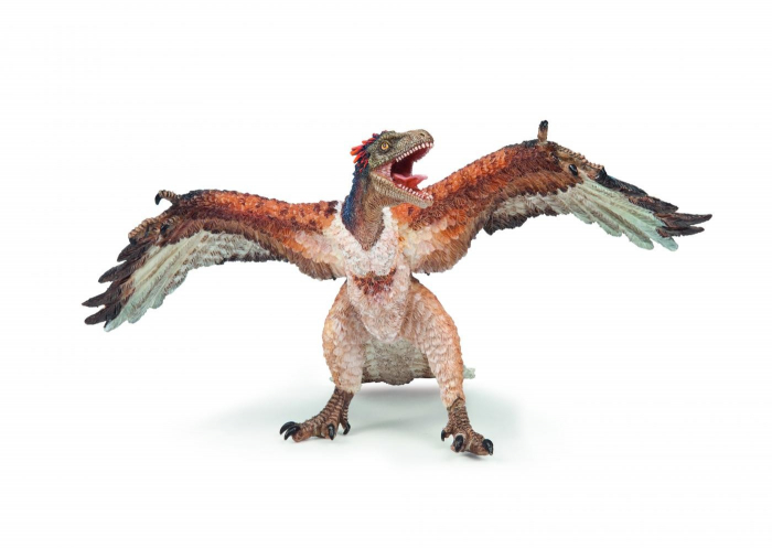 Papo Figurina Dinozaur Archaeopteryx [1]