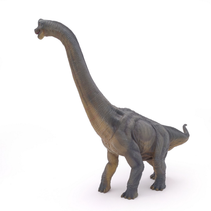 PAPO - Figurina Dinozaur Brachiosaurus  [3]