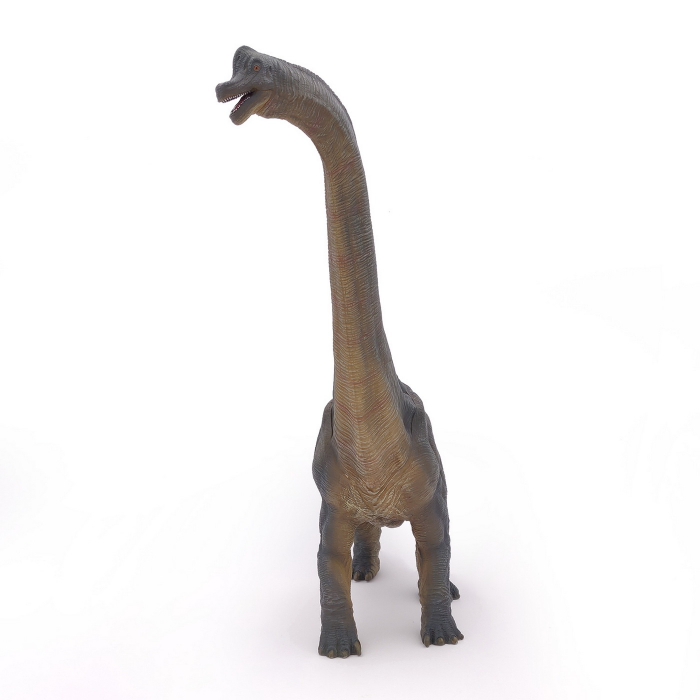 PAPO - Figurina Dinozaur Brachiosaurus  [2]